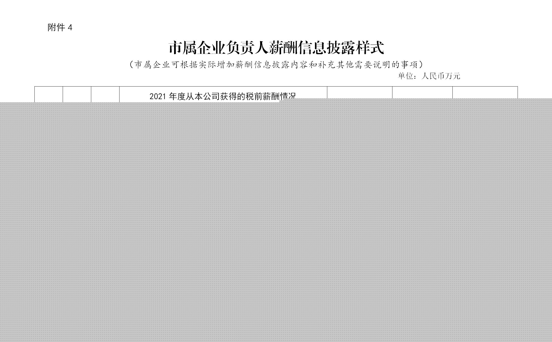 附件4：市屬企業(yè)負(fù)責(zé)人薪酬信息披露樣式(1)_01.jpg